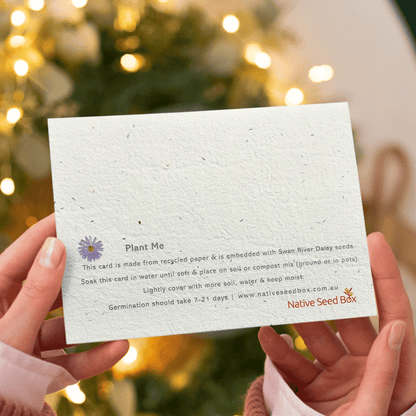 Plantable Christmas Bauble Card – Native Daisy Seed Paper with Recycled Envelope - Oldboy&
