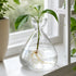 Propagate by Ryset – Glass Propagation Vase - Oldboy&