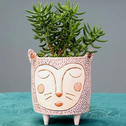 Purrs Cat Planter - Hand - Painted Polyresin Cat Planter with Drainage - Oldboy&