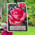 Rose - Hybrid Tea - Princess Marageret - Oldboy&