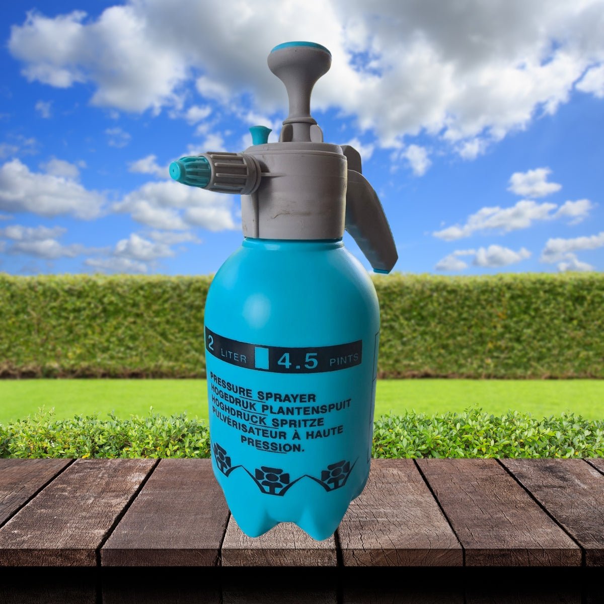 Ryset 2 Litre Pressure Spray Bottle - Oldboy&
