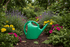 Ryset 9L Watering Can GD303 | UV - Stabilised Green Plastic Garden Watering Can - Oldboy&