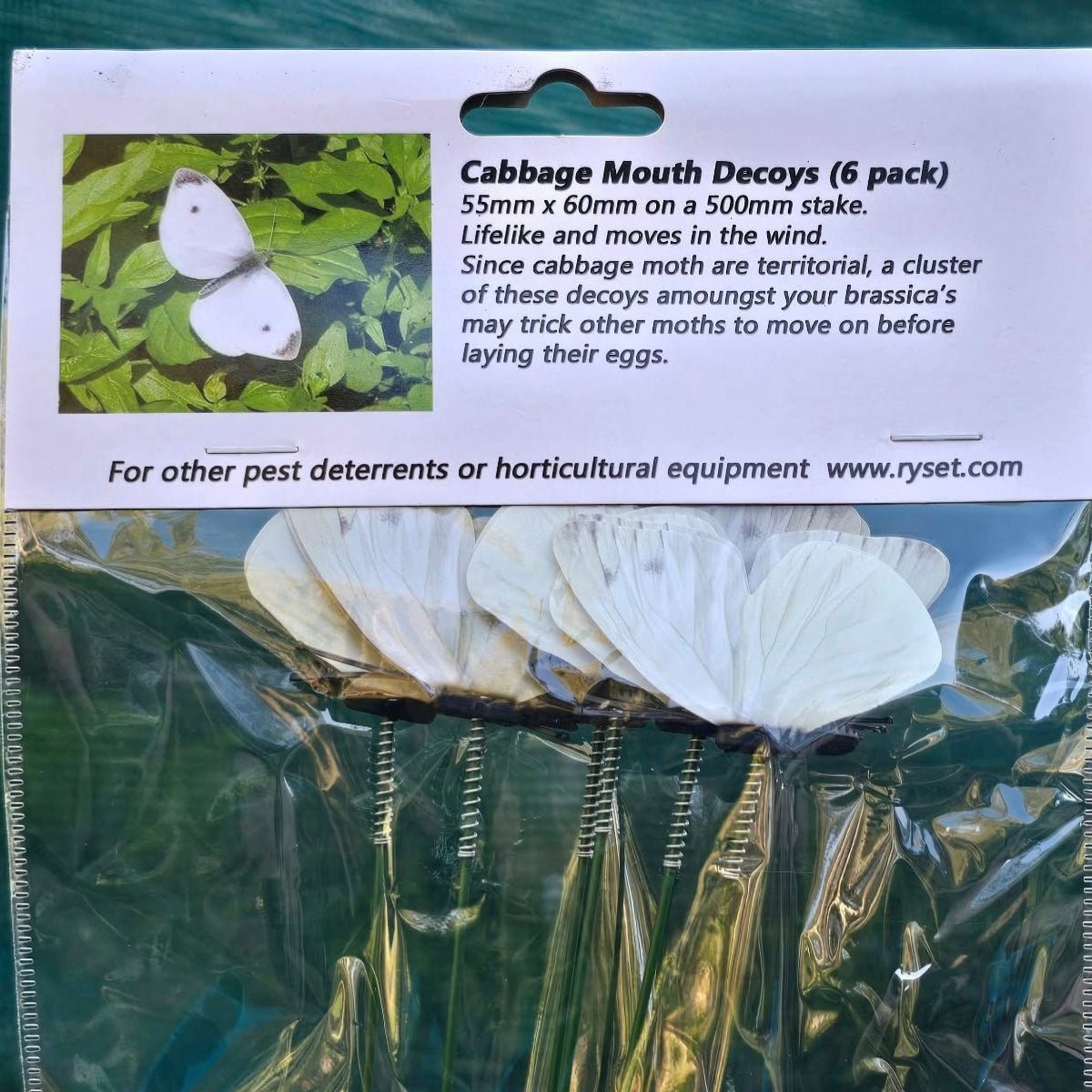 Ryset Cabbage Moth Decoys – Pack of 6 | Brassica Pest Deterrent - Oldboy&