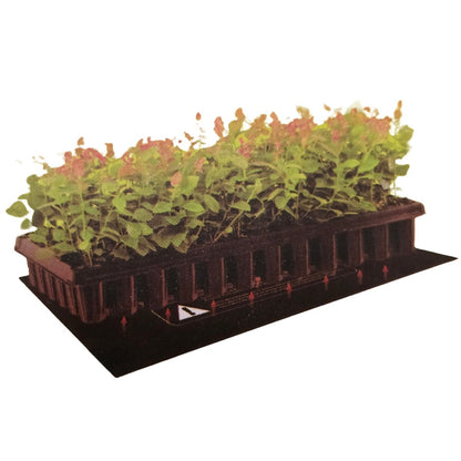 Ryset Heat Mat 500mm x 250mm – Seedling &amp;amp; Propagation Heat Mat - Oldboy&
