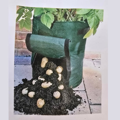 Ryset Potato Grow Bag 60L with Harvest Flap | GDP530 - Oldboy&