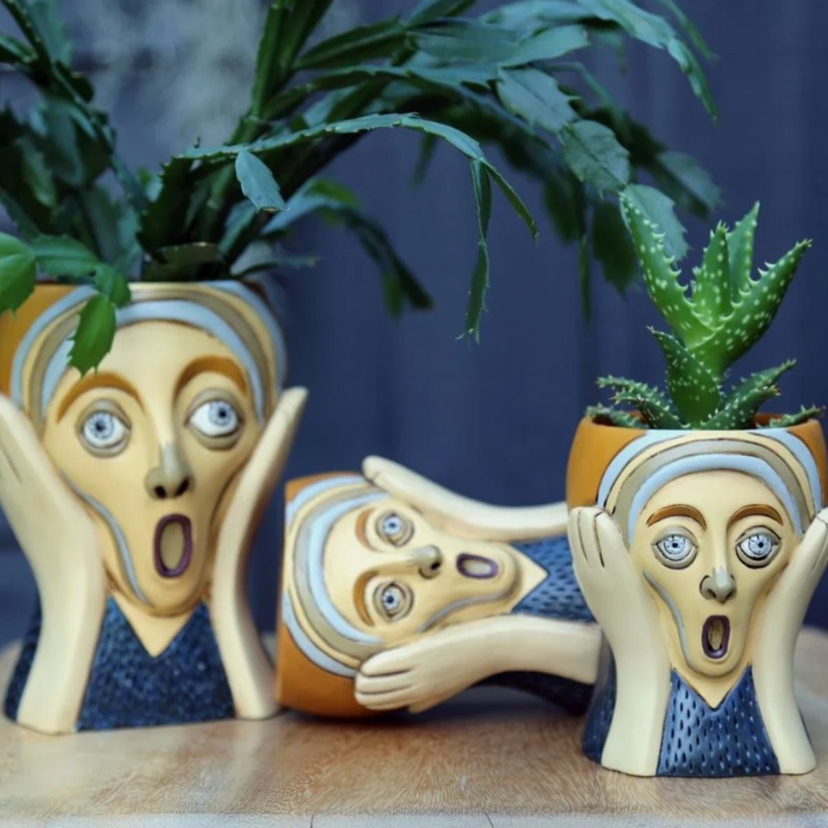 Scream Planter | Decorative Plant Pot by Allen Designs - Oldboy&
