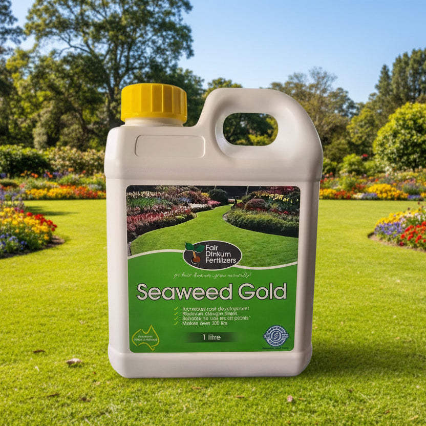 Seaweed Gold Fertiliser - Oldboy&