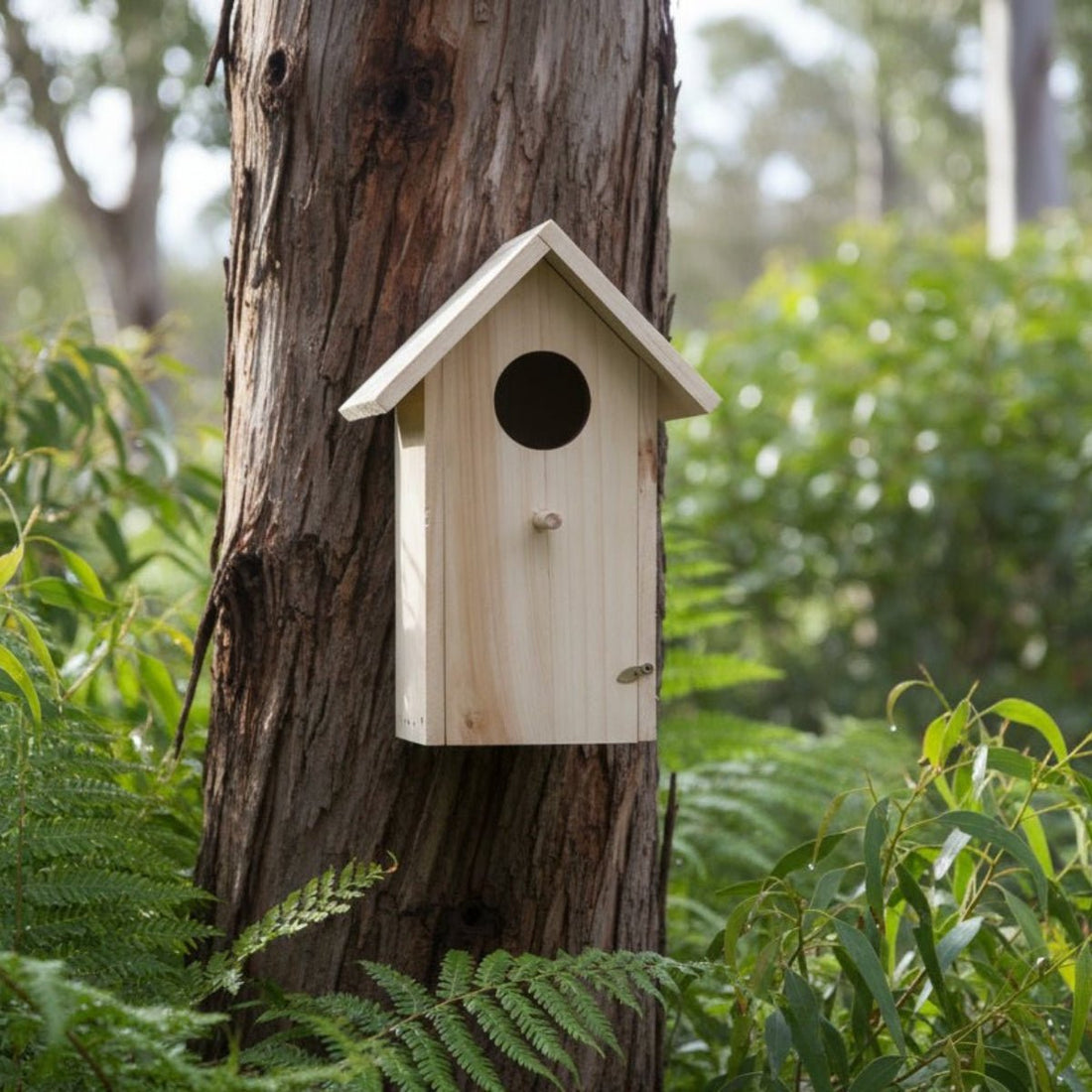 Small Bird Nesting Box GPM630 – Natural Pine Native Bird Nest Box with Opening Front - Oldboy&