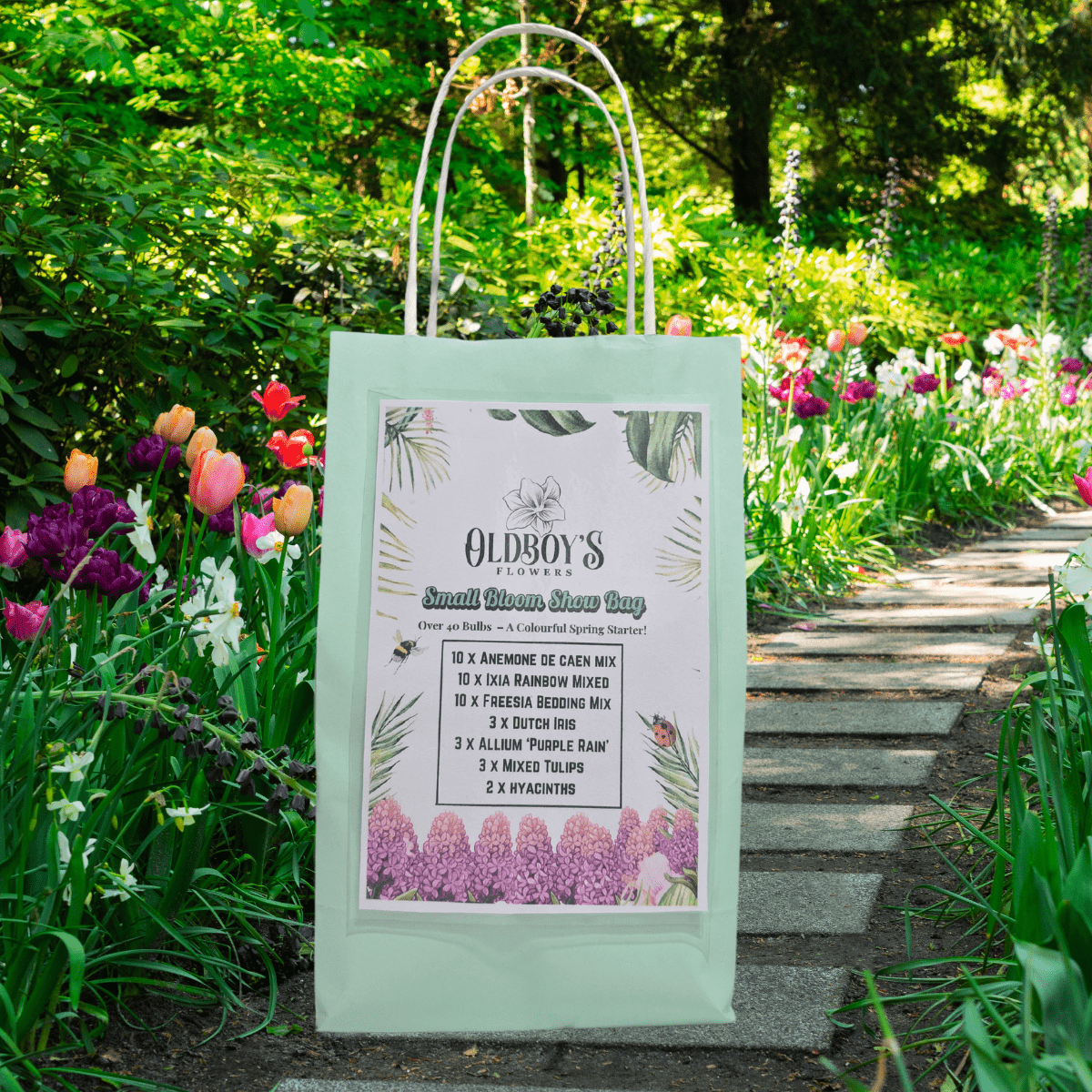 Small Bloom Show Bag – 41 Spring Bulbs for a Colourful Garden Starter - Oldboy&