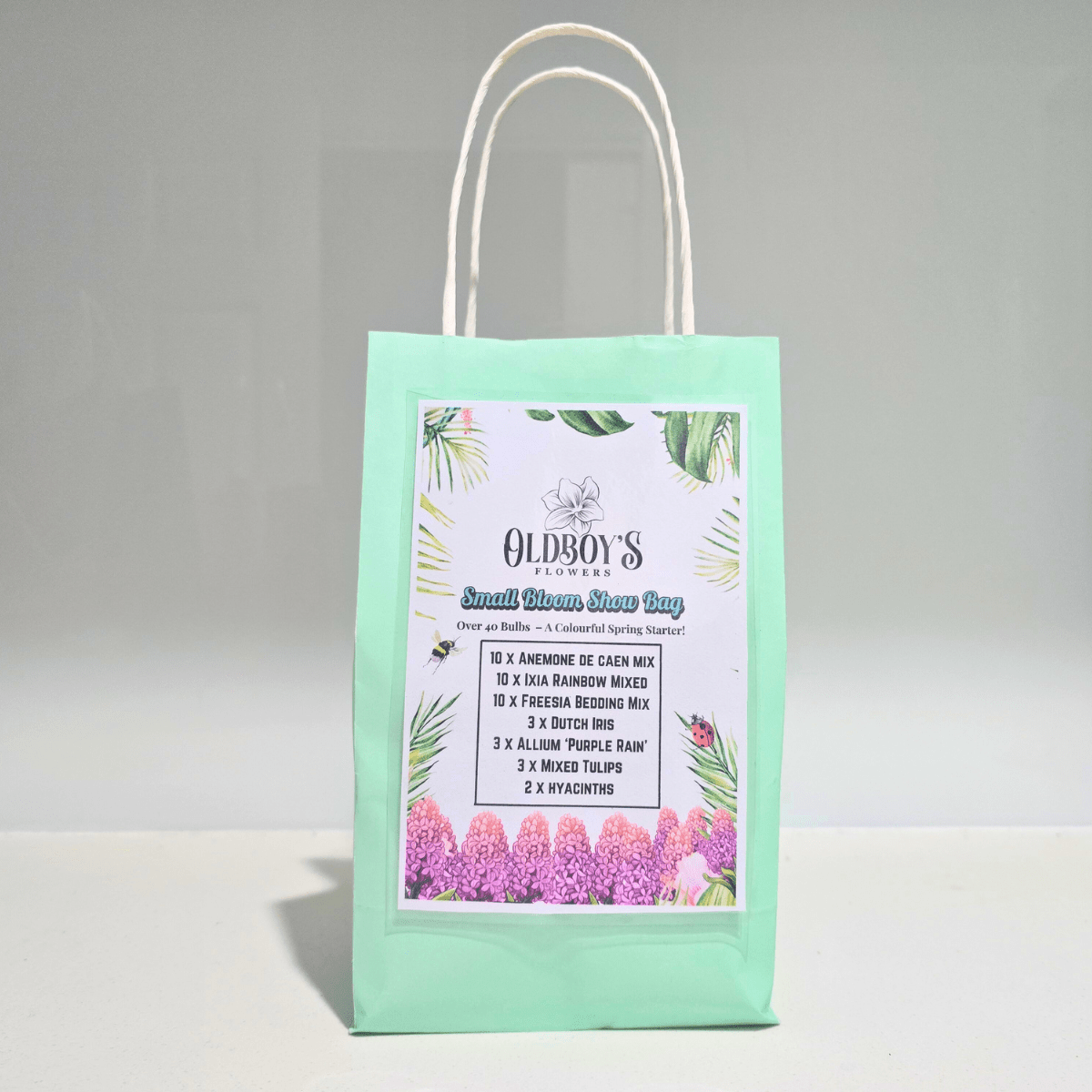 Small Bloom Show Bag – 41 Spring Bulbs for a Colourful Garden Starter - Oldboy&