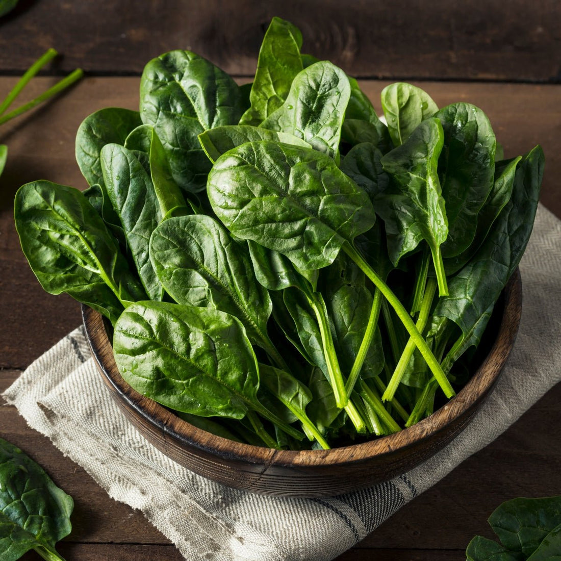 Spinach Perpetual Gator Seeds (Beta vulgaris) - Oldboy&