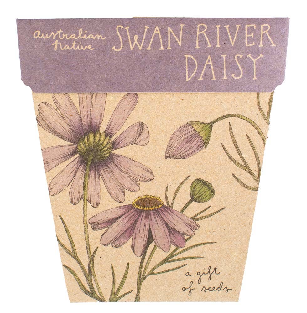 Swan River Daisy Gift of Seeds - Oldboy&