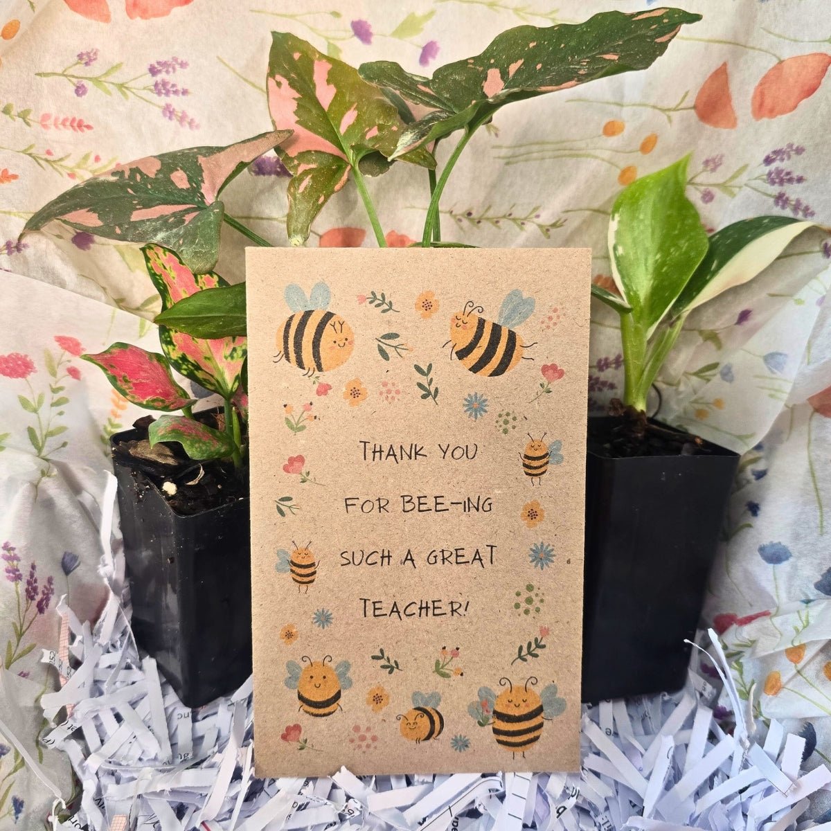 Thank You for Bee - ing Such a Great Teacher - Gift Box 🎁🐝🌻 - Oldboy&