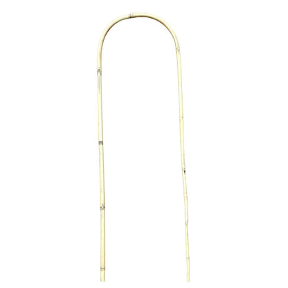 U-Shaped Bamboo Plant Trainer 600mm x 12–14mm | Single | GDS423 - Oldboy&