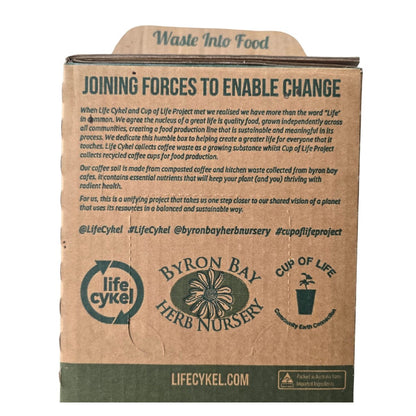 🌱 Vitamin‑Rich Alkaline Microgreens Kit - Lyfe Cykel - Oldboy&