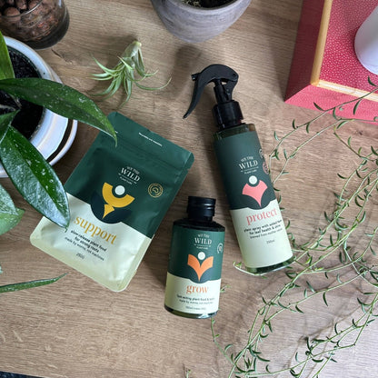We The Wild Essential Plant Care Kit | Love Your Plants Kit - Oldboy&