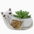 White Cat with Yarn Planter - Polyresin Retro Pot - Oldboy&
