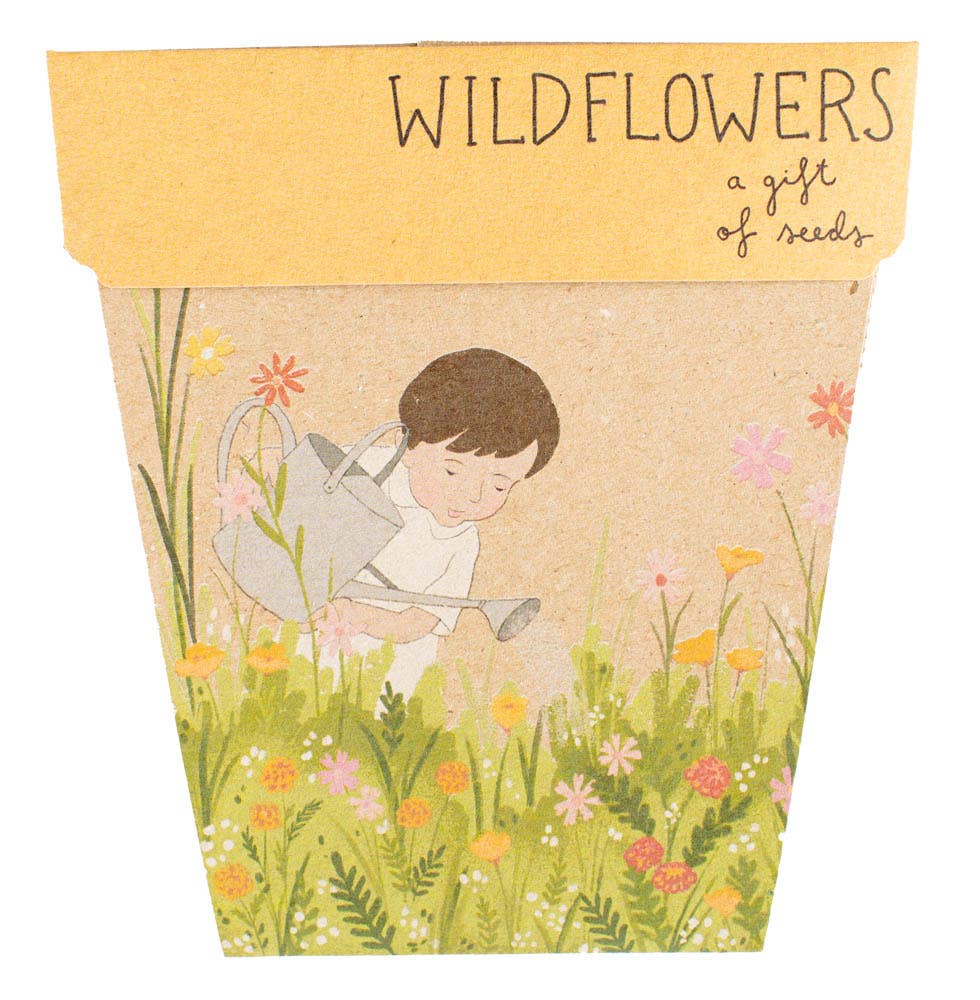 Wildflowers Gift of Seeds – Vintage - Inspired Blooms to Grow 🌼💌 - Oldboy&