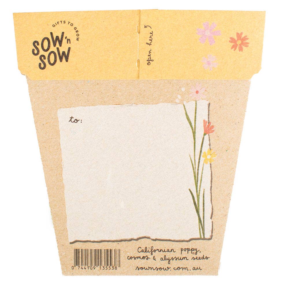 Wildflowers Gift of Seeds – Vintage - Inspired Blooms to Grow 🌼💌 - Oldboy&