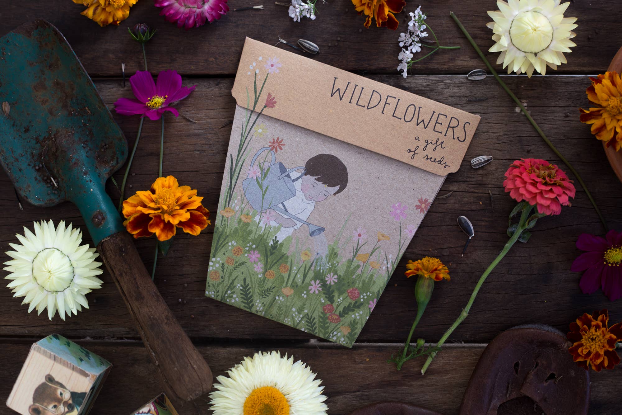 Wildflowers Gift of Seeds – Vintage - Inspired Blooms to Grow 🌼💌 - Oldboy&