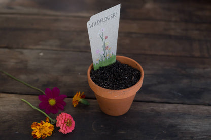 Wildflowers Gift of Seeds – Vintage - Inspired Blooms to Grow 🌼💌 - Oldboy&