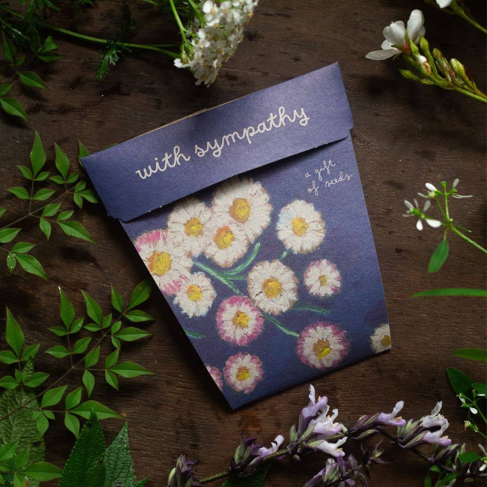 With Sympathy Gift of Seeds – Everlasting Daisies to Honour &amp; Remember 🌿💌 - Oldboy&