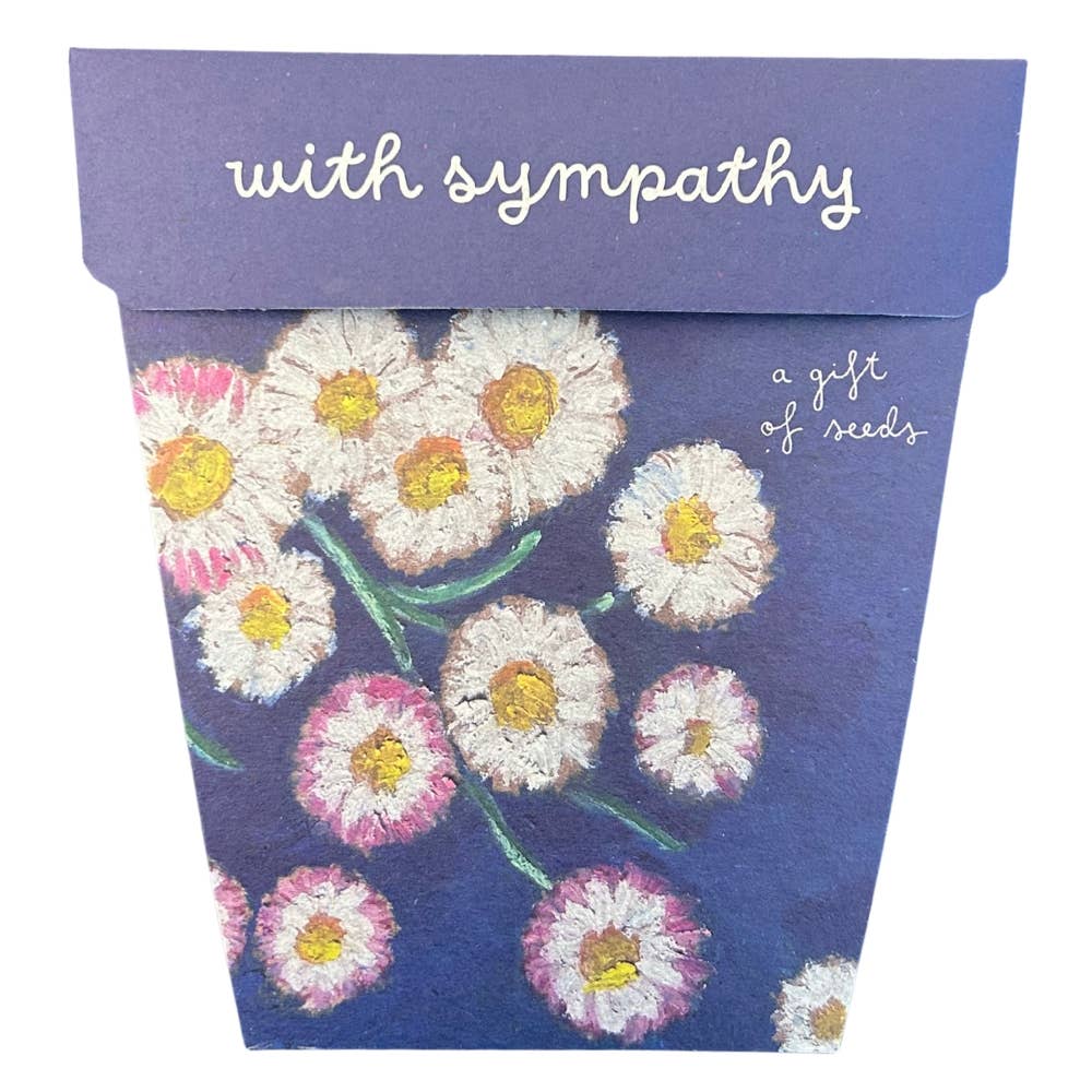 With Sympathy Gift of Seeds – Everlasting Daisies to Honour & Remember 🌿💌 - Oldboy&