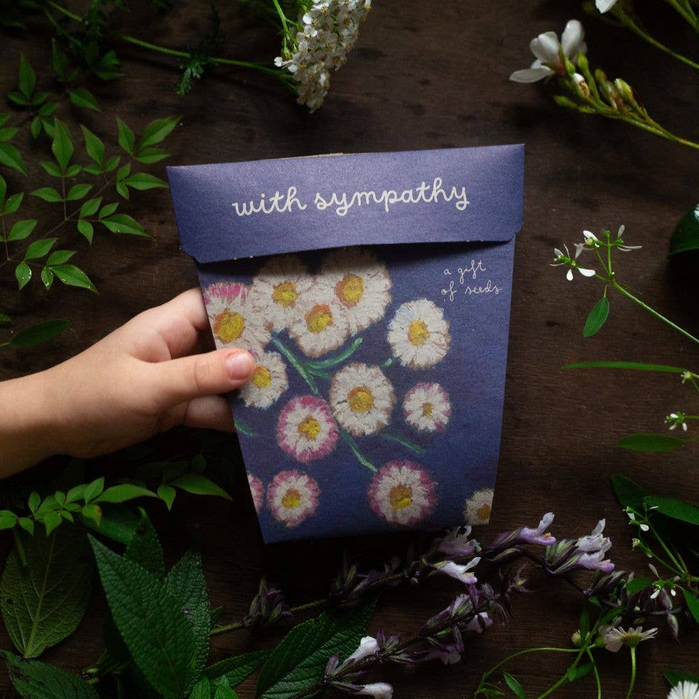With Sympathy Gift of Seeds – Everlasting Daisies to Honour &amp; Remember 🌿💌 - Oldboy&