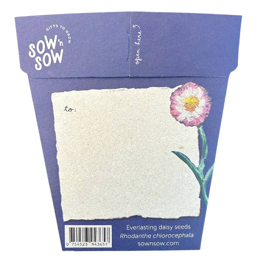 With Sympathy Gift of Seeds – Everlasting Daisies to Honour &amp; Remember 🌿💌 - Oldboy&