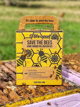 Bee Pollination Grow Kit - Oldboy&