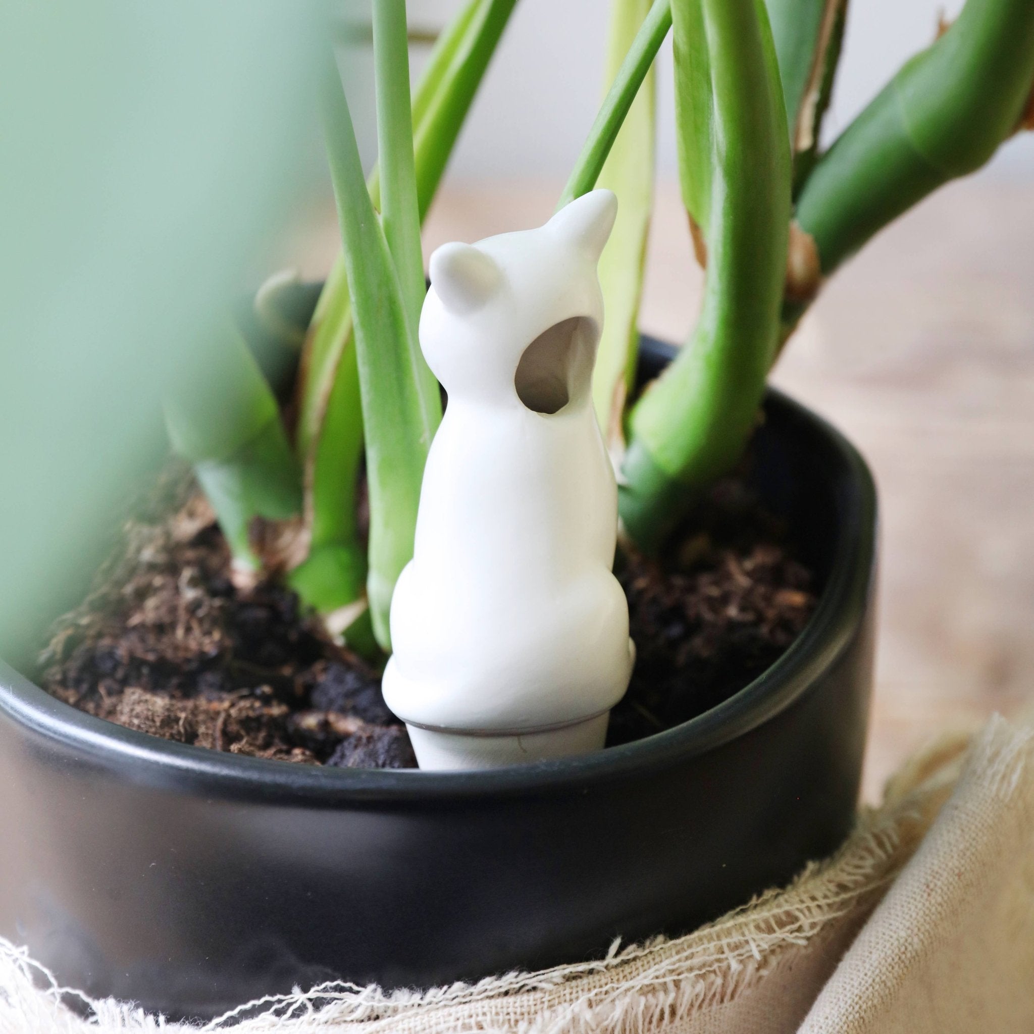 Cat Plant Watering Spike - Oldboy&