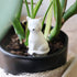 Cat Plant Watering Spike - Oldboy&