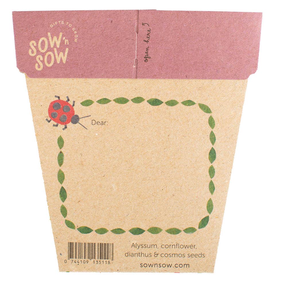 Enchanted Garden Gift of Seeds - Oldboy&