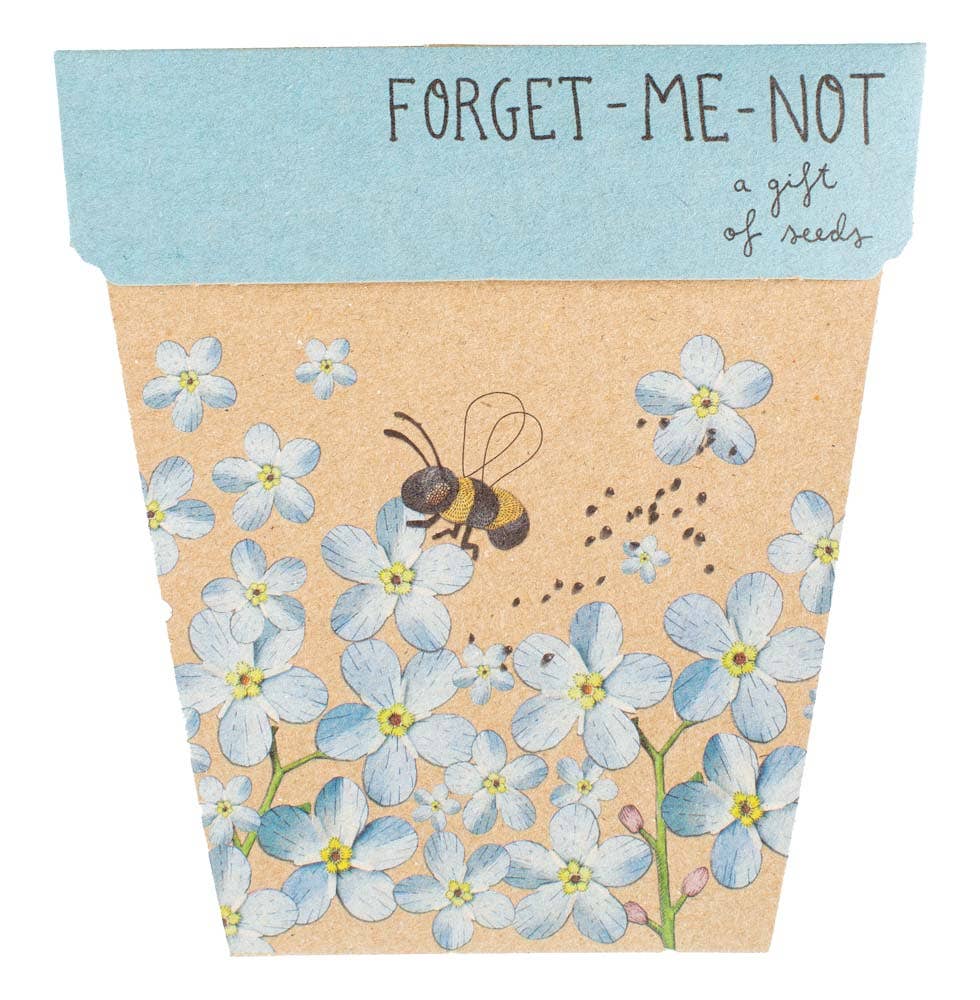 Forget-Me-Not Gift of Seeds - Oldboy&