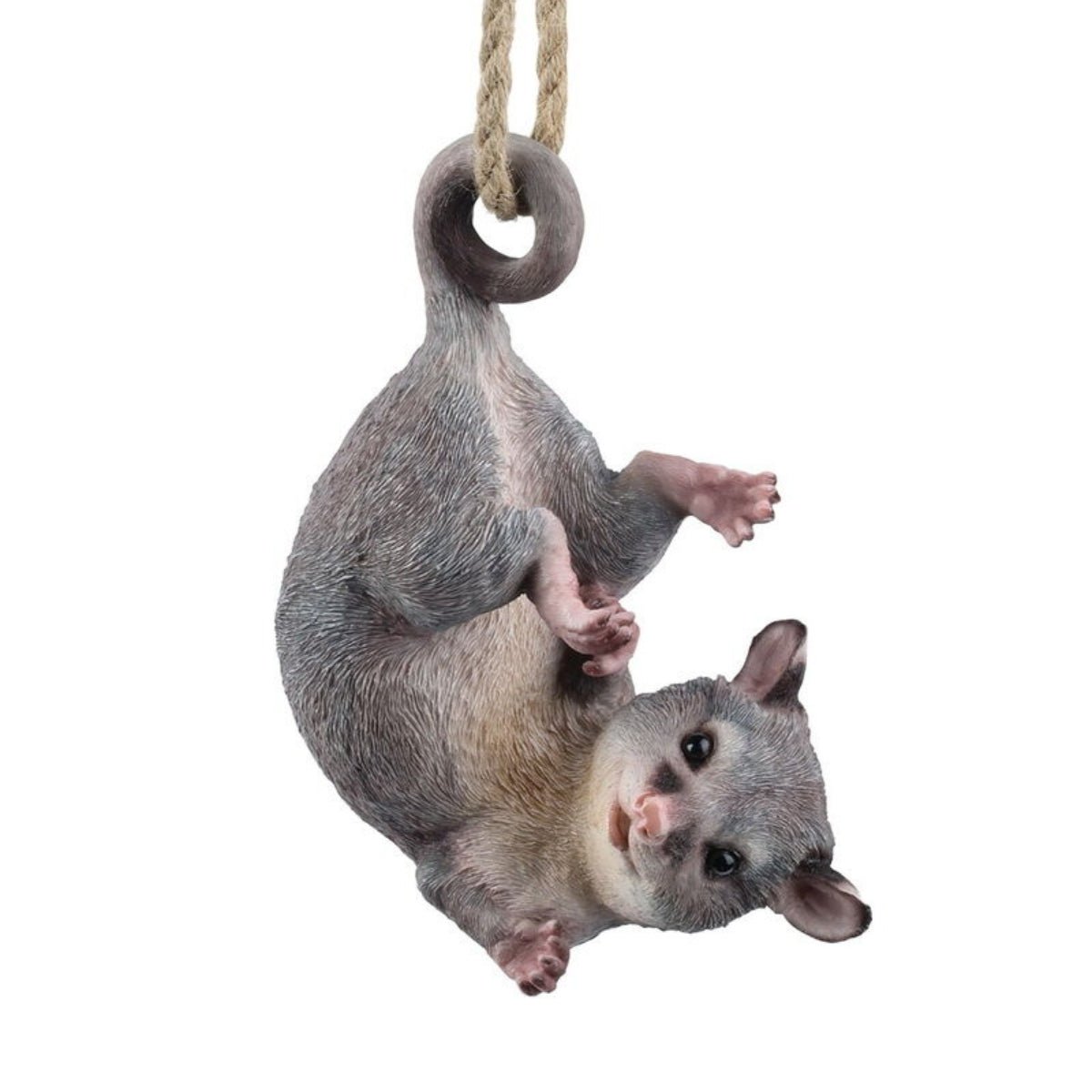 Hanging Ringtail Possum - 53cm - Oldboy&