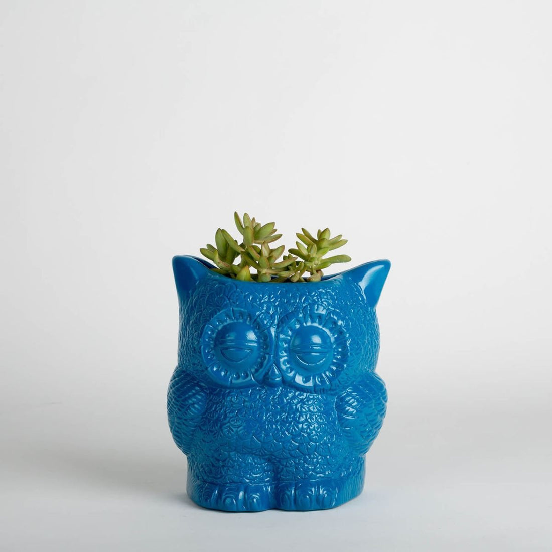 Hoot Owl Pot - Oldboy&