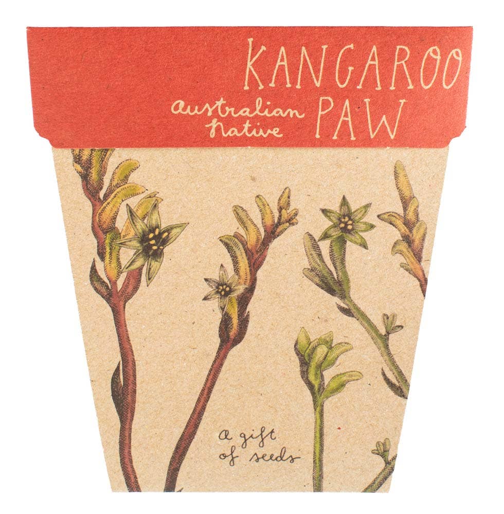 Kangaroo Paw Gift of Seeds - Oldboy&