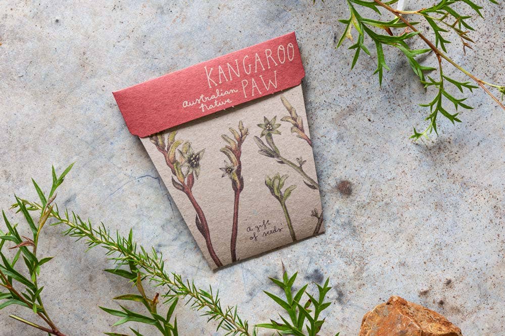 Kangaroo Paw Gift of Seeds - Oldboy&