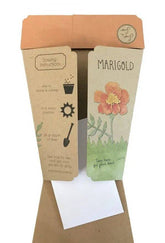 Marigolds Gift of Seeds - Oldboy&