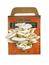 Oyster Mushroom Grow Kit - Oldboy&