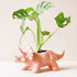 Pink Triceratops Dinosaur Planter - Oldboy&