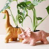Pink Triceratops Dinosaur Planter - Oldboy&
