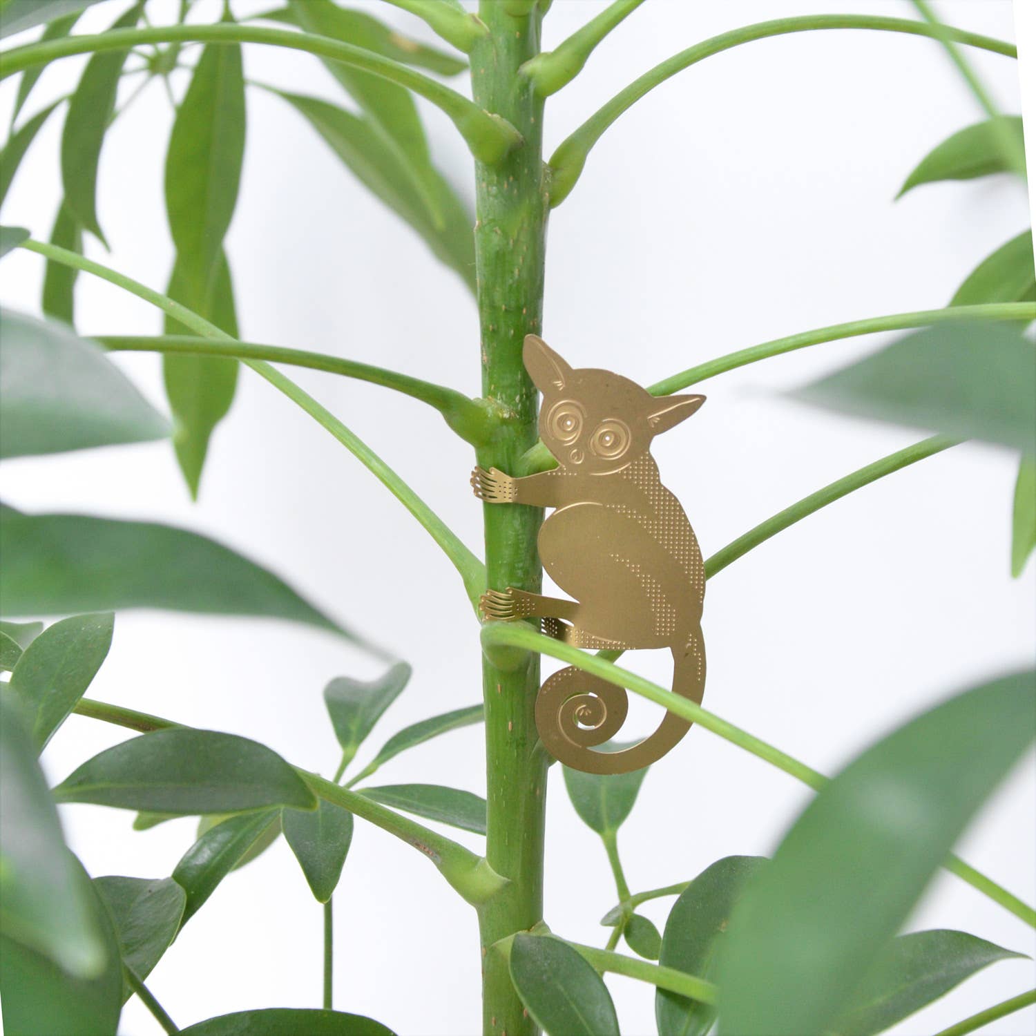 Plant Animal - Bush Baby, hanging plant decoration - Oldboy&