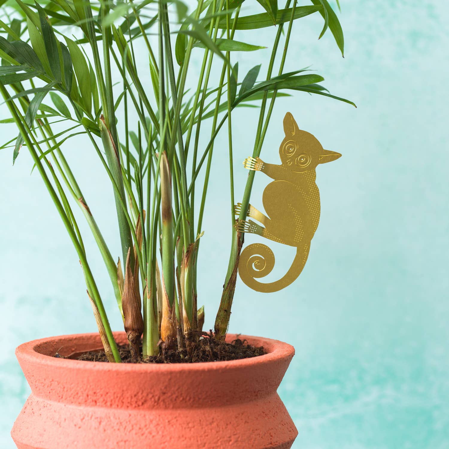 Plant Animal - Bush Baby, hanging plant decoration - Oldboy&
