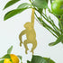 Plant Animal - Chimpanzee, plant decor - Oldboy&