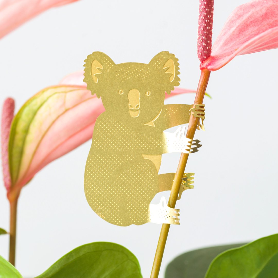 Plant Animal - Koala Bear, garden decor - Oldboy&