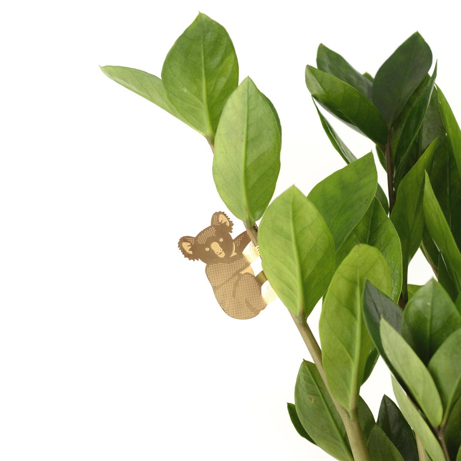 Plant Animal - Koala Bear, garden decor - Oldboy&