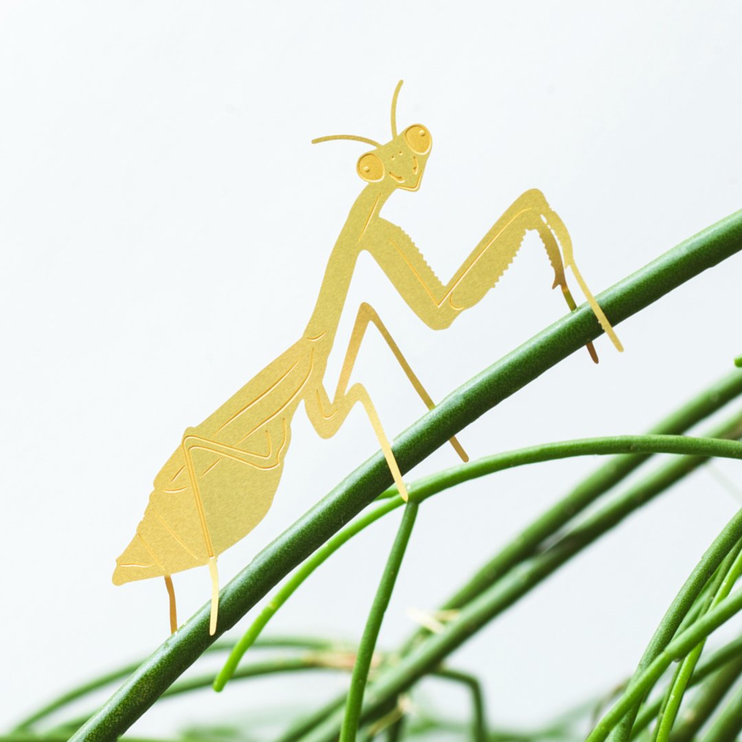 Plant Animal - Praying Mantis, insect plant decoration - Oldboy&