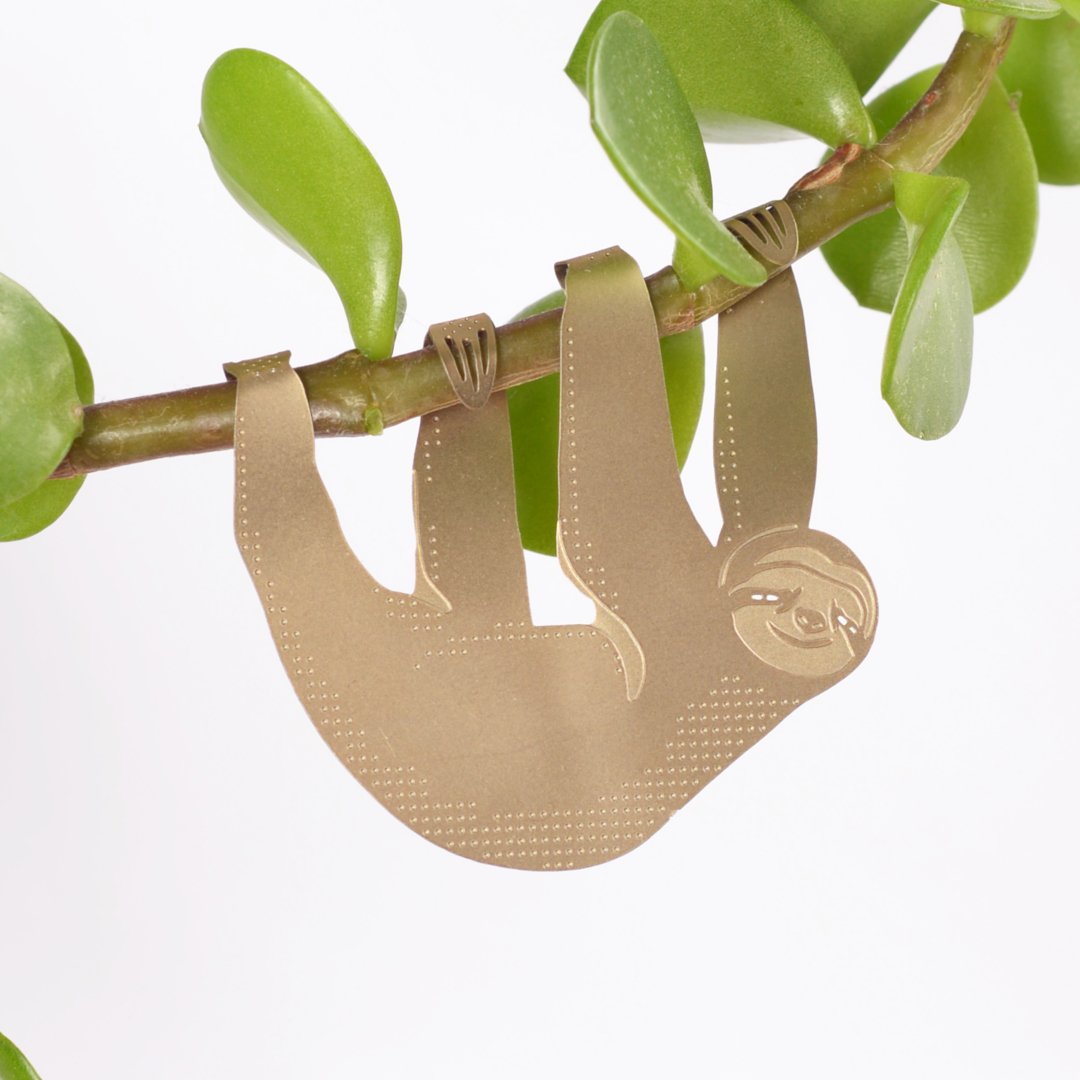Plant Animal - Sloth, cute houseplant gift - Oldboy&