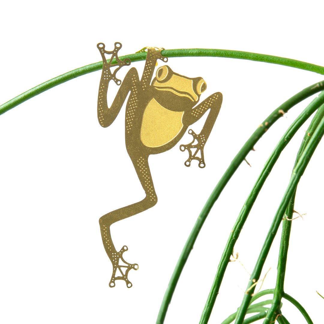 Plant Animal - Tree Frog, unique house plant gift - Oldboy&